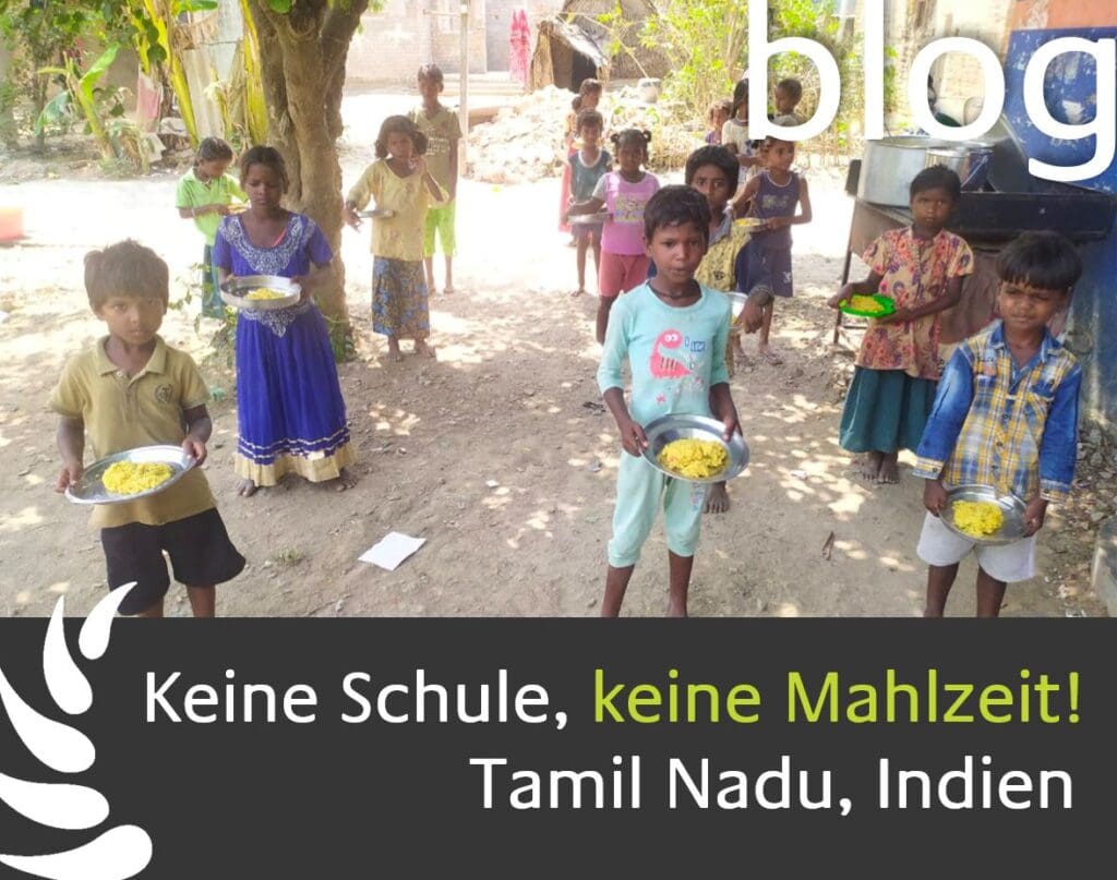 Eine Gruppe von Kindern steht neben einem Baum. In den Händen halten sie einen mit Essen gefüllten Teller